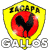 Deportivo Zacapa